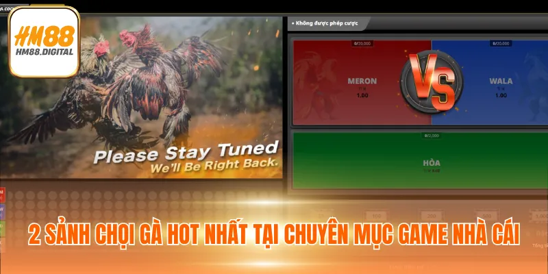 Đá Gà HM88 Tặng 88K Miễn Phí - Tham Gia Đặt Cược Ngay 4 2 sảnh chọi gà hot nhất tại chuyên mục game nhà cái