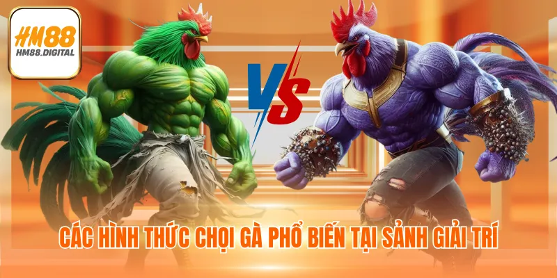 Đá Gà HM88 Tặng 88K Miễn Phí - Tham Gia Đặt Cược Ngay 3 Các hình thức chọi gà phổ biến tại sảnh giải trí
