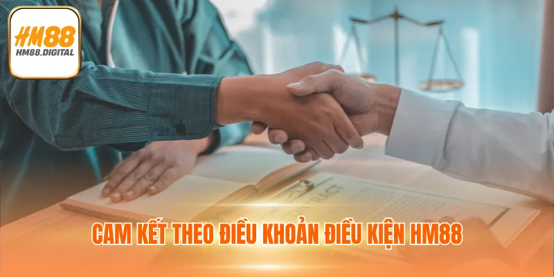 Điều Khoản Điều Kiện 1 Cam kết theo điều khoản điều kiện HM88