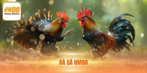 Đá Gà HM88 Tặng 88K Miễn Phí - Tham Gia Đặt Cược Ngay