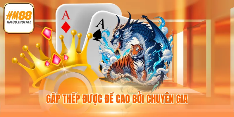 Game Bài Rồng Hổ - Cá Cược Dễ Dàng, Nhận Thưởng Lớn 2025 4 Chiến thuật gấp thếp giúp thành viên chiến thắng 100%