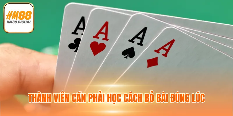 Luật Chơi Poker - Yếu Tố Quan Trọng Giúp Thắng Lớn 2025 4 Thành viên cần phải học cách bỏ bài đúng lúc