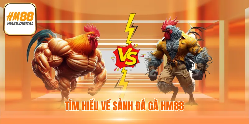 Đá Gà HM88 Tặng 88K Miễn Phí - Tham Gia Đặt Cược Ngay 2 Tìm hiểu về sảnh đá gà HM88