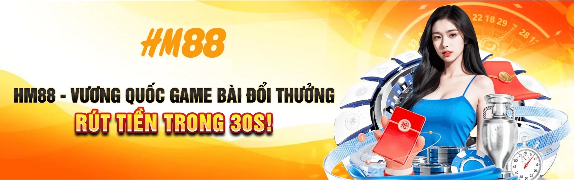 Banner Hm88